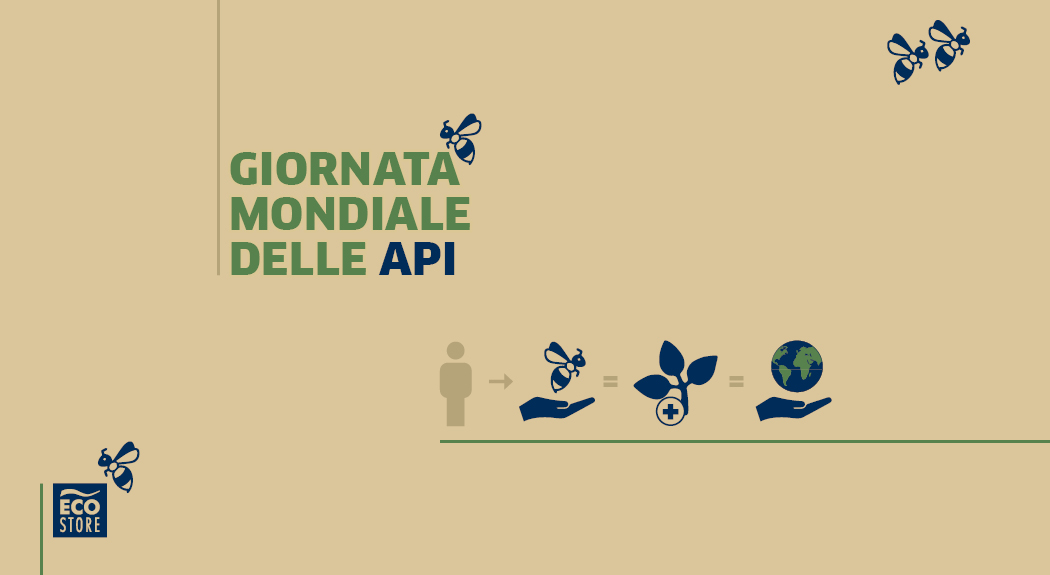 Giornata mondiale delle api: l'importanze degli impollinatori